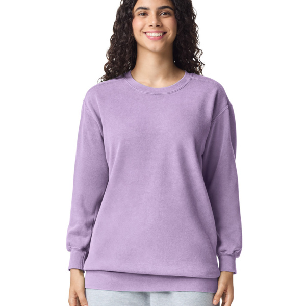 Crewneck Sweatshirt Thumbnail